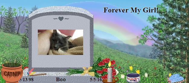 Boo's Rainbow Bridge Pet Loss Memorial Residency Image