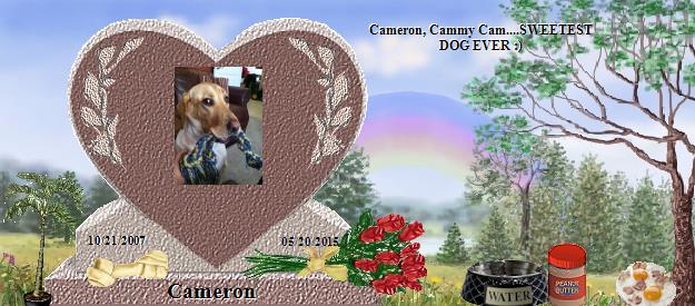 Cameron's Rainbow Bridge Pet Loss Memorial Residency Image