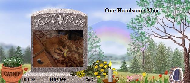Baylee's Rainbow Bridge Pet Loss Memorial Residency Image