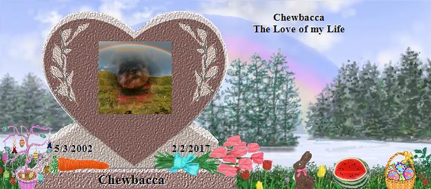 Chewbacca's Rainbow Bridge Pet Loss Memorial Residency Image