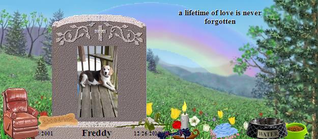 Freddy's Rainbow Bridge Pet Loss Memorial Residency Image