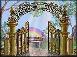 Il Poema Rainbow Bridge