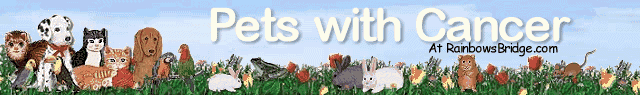 Your Pets health