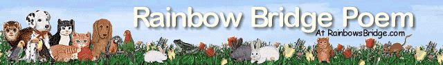 Rainbows Bridge