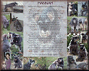 Grateful Dog Photo Montage Memorial