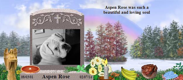 Aspen Rose's Rainbow Bridge Pet Loss Memorial Residency Image