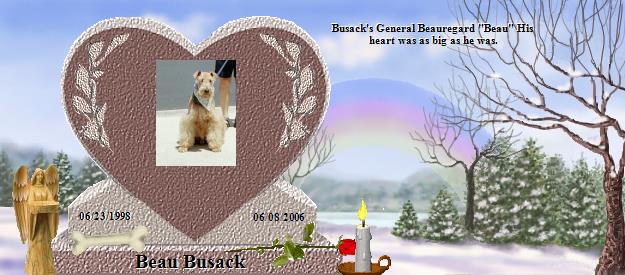 Beau Busack's Rainbow Bridge Pet Loss Memorial Residency Image