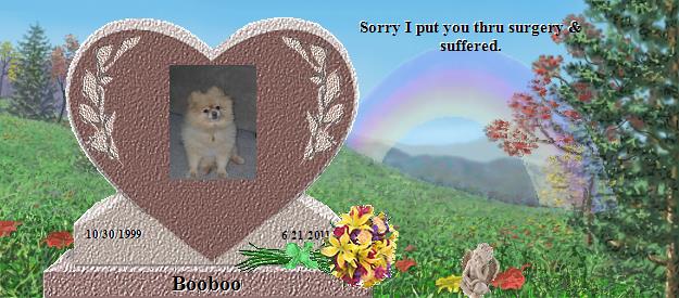 Booboo's Rainbow Bridge Pet Loss Memorial Residency Image