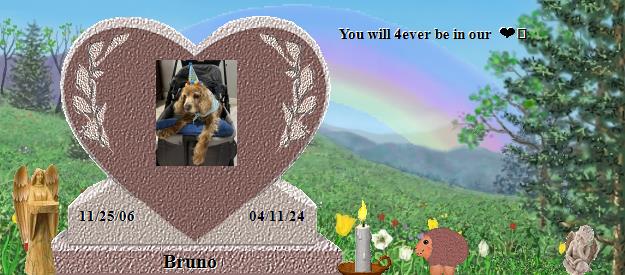 Bruno's Rainbow Bridge Pet Loss Memorial Residency Image