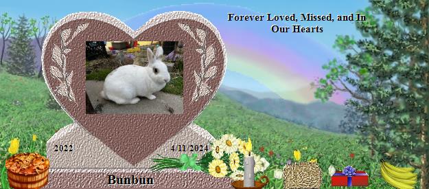 Bunbun's Rainbow Bridge Pet Loss Memorial Residency Image
