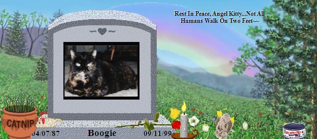 Boogie's Rainbow Bridge Pet Loss Memorial Residency Image