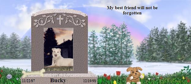 Bucky's Rainbow Bridge Pet Loss Memorial Residency Image