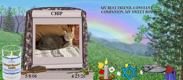 CHIP's Rainbow Bridge Pet Loss Memorial Residency Image