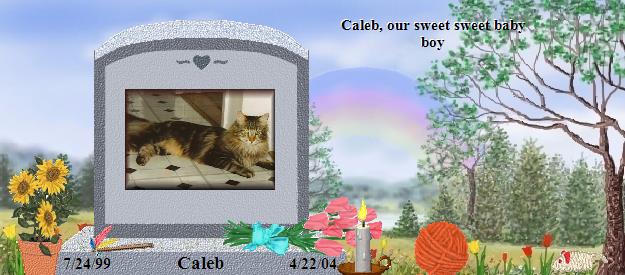 Caleb's Rainbow Bridge Pet Loss Memorial Residency Image