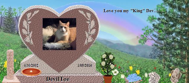 DevilToe's Rainbow Bridge Pet Loss Memorial Residency Image