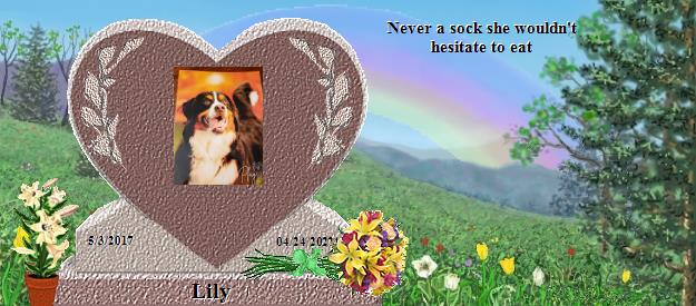 Lily's Rainbow Bridge Pet Loss Memorial Residency Image