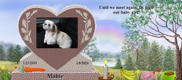 Mahie's Rainbow Bridge Pet Loss Memorial Residency Image