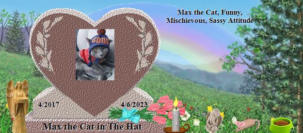 Max the Cat in The Hat's Rainbow Bridge Pet Loss Memorial Residency Image