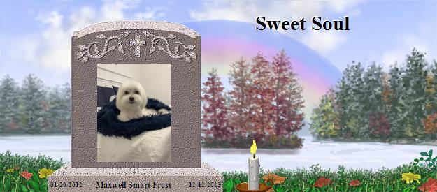 Maxwell Smart Frost's Rainbow Bridge Pet Loss Memorial Residency Image