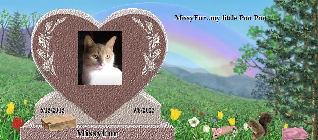 MissyFur's Rainbow Bridge Pet Loss Memorial Residency Image