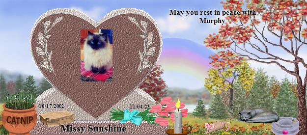 Missy Sunshine's Rainbow Bridge Pet Loss Memorial Residency Image