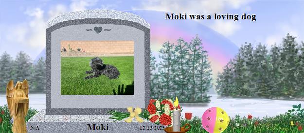 Moki's Rainbow Bridge Pet Loss Memorial Residency Image