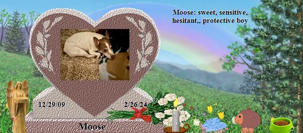 Moose's Rainbow Bridge Pet Loss Memorial Residency Image