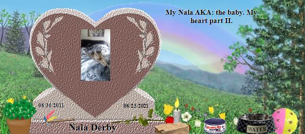 Nala Derby's Rainbow Bridge Pet Loss Memorial Residency Image