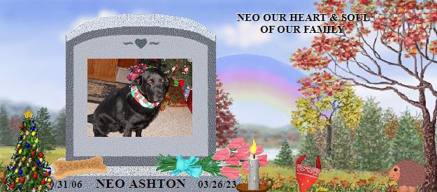 NEO ASHTON's Rainbow Bridge Pet Loss Memorial Residency Image