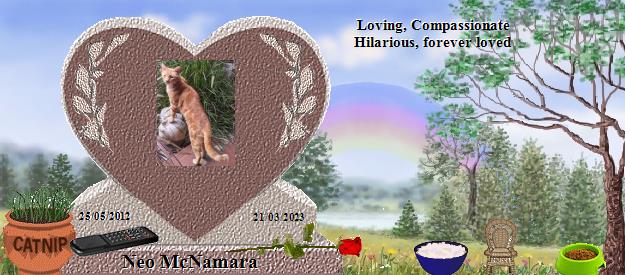 Neo McNamara's Rainbow Bridge Pet Loss Memorial Residency Image