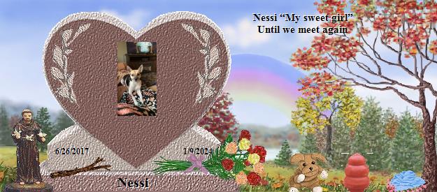 Nessi's Rainbow Bridge Pet Loss Memorial Residency Image