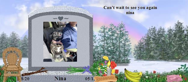 Nina's Rainbow Bridge Pet Loss Memorial Residency Image