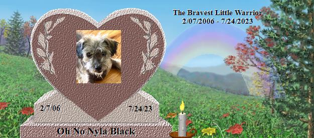 Oh No Nyla Black's Rainbow Bridge Pet Loss Memorial Residency Image