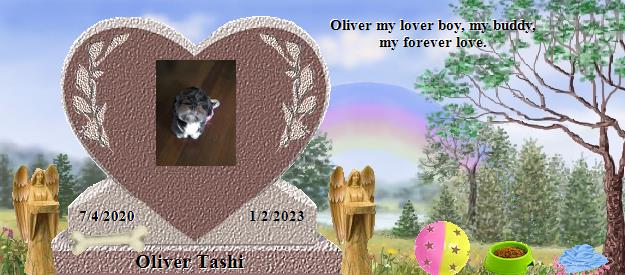 Oliver Tashi's Rainbow Bridge Pet Loss Memorial Residency Image