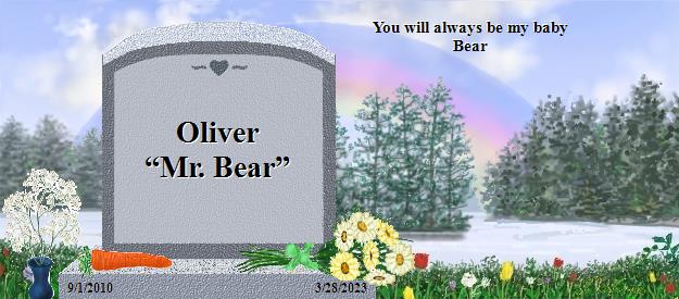 Oliver “Mr. Bear”'s Rainbow Bridge Pet Loss Memorial Residency Image