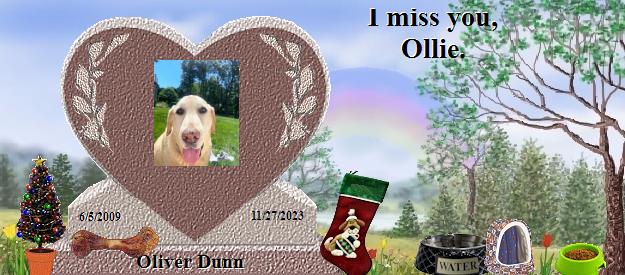 Oliver Dunn's Rainbow Bridge Pet Loss Memorial Residency Image