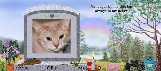Ollie's Rainbow Bridge Pet Loss Memorial Residency Image