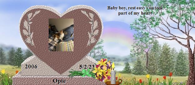Opie's Rainbow Bridge Pet Loss Memorial Residency Image