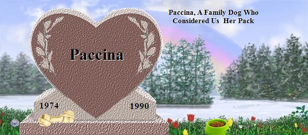 Paccina's Rainbow Bridge Pet Loss Memorial Residency Image