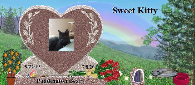 Paddington Bear's Rainbow Bridge Pet Loss Memorial Residency Image