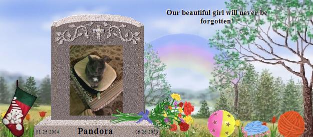 Pandora's Rainbow Bridge Pet Loss Memorial Residency Image
