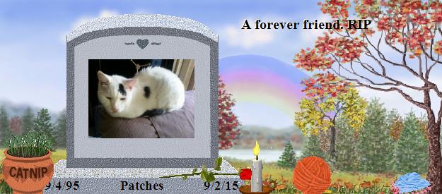 Patches's Rainbow Bridge Pet Loss Memorial Residency Image