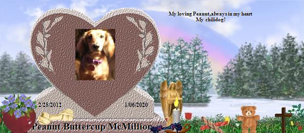 Peanut Buttercup McMillion's Rainbow Bridge Pet Loss Memorial Residency Image