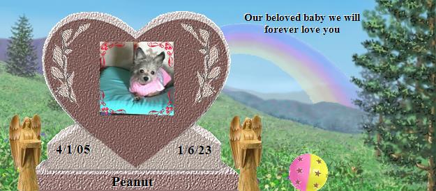 Peanut's Rainbow Bridge Pet Loss Memorial Residency Image