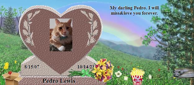 Pedro Lewis's Rainbow Bridge Pet Loss Memorial Residency Image