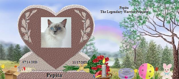Pepita's Rainbow Bridge Pet Loss Memorial Residency Image