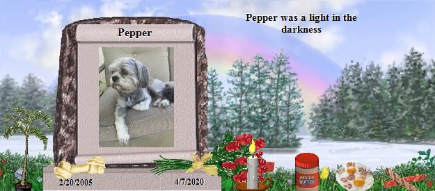 Pepper's Rainbow Bridge Pet Loss Memorial Residency Image