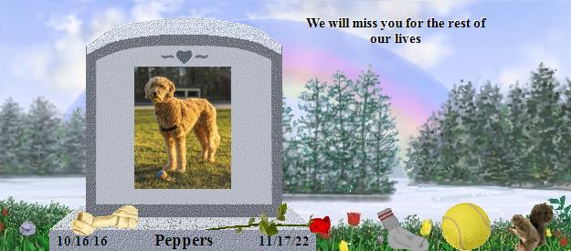 Peppers's Rainbow Bridge Pet Loss Memorial Residency Image