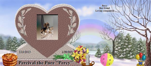 Percival the Pure "Percy"'s Rainbow Bridge Pet Loss Memorial Residency Image