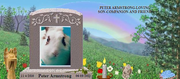 Peter Armstrong's Rainbow Bridge Pet Loss Memorial Residency Image
